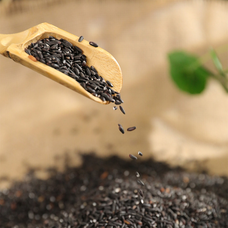 青田稻魚(yú)米黑米2.5kg