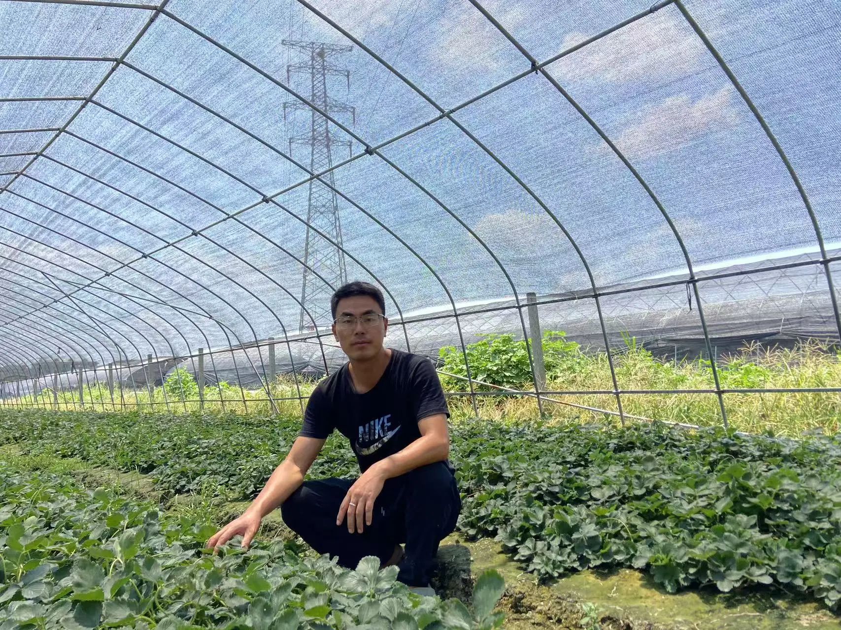 新農領頭人繆新華:優化27項技術指標,使草莓糖度達到15%,番茄畝收益8萬元,每年供應優質種苗500萬株,覆蓋2000畝種植面積(圖1) 微信圖片_20250501064142.jpg