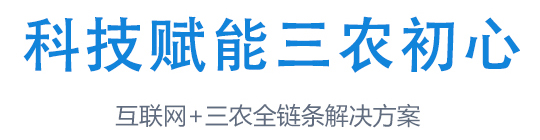 服務(wù)內(nèi)容 服務(wù)內(nèi)容