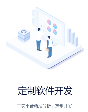 定制軟件開發(fā) 定制軟件開發(fā)